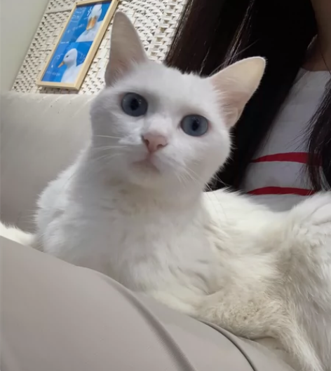 画画找我，美术生毕业搞副业～高品质代画！临...