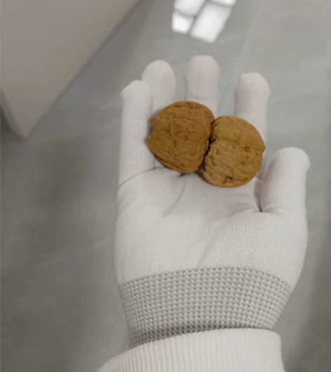 出蛙 有一点点色差 后续盘玩影响不大 深色...
