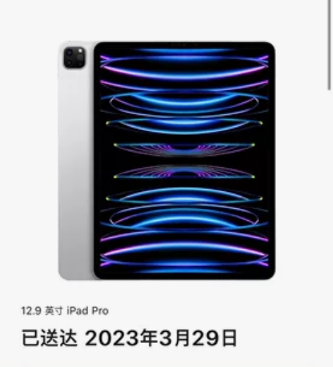 自用IPAD PRO 12.9第六代 WI...