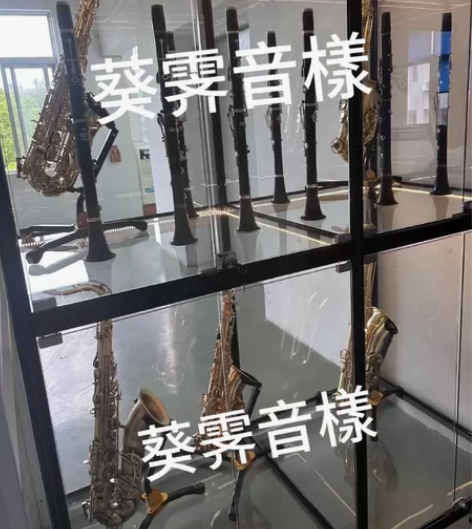 小号and单簧管 法国布菲出品,大品牌有保...