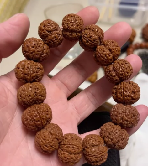 古龙梅花大金刚尺寸19,矮桩大金刚皮质好密...