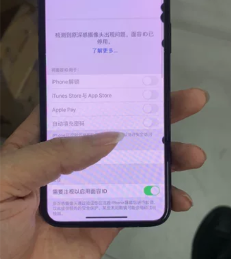 苹果X 国行256G 屏幕坏的 漏液了 ...