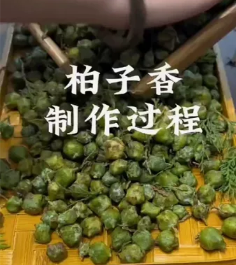 柏子香粉 “国民熏香”  柏子香功效：具有...