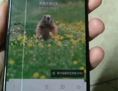 一加6 8+256复仇者联盟版本. 238...
