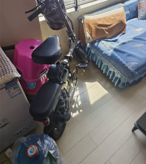飞鸽电动自行车,买来没怎么骑,电池能跑20...