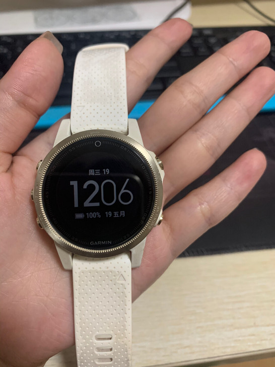 Garmin/佳明