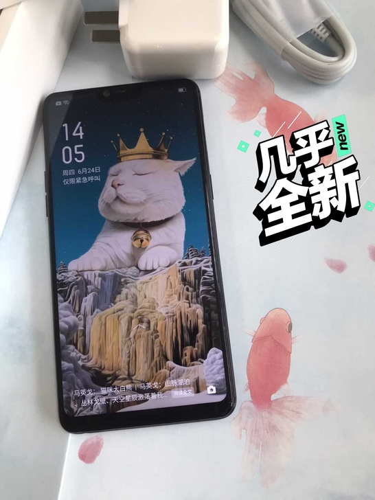 oppo R15