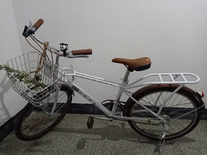 闲置变速自行车，基本全新，便宜处理450元...