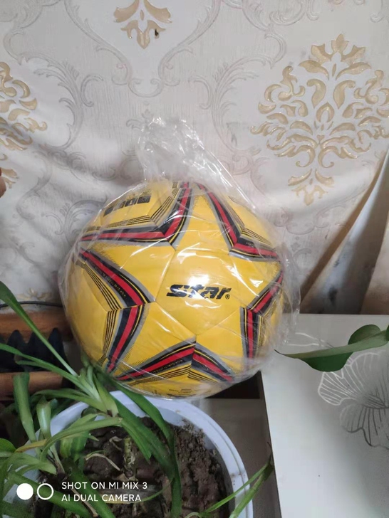 世达1000， 5号足球， 4号足球，世达...