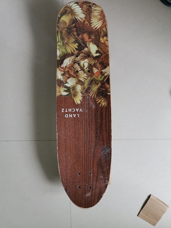 landyachtz代步滑板dinghy小...
