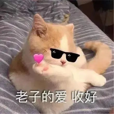 闲置的古筝！以前学古筝的时候在正规古筝机构...