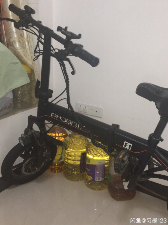 凤凰品牌折叠电动车,可折叠放后备箱,性价比...