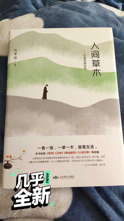 人间草木,汪曾祺散文集