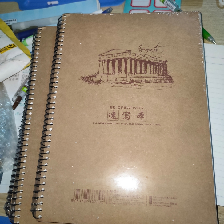 大本速写本