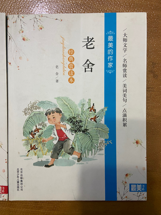 最美的作家 经典赏读本