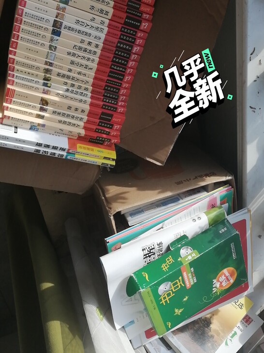 年前大扫除，整理出三箱中小学的经典读物。