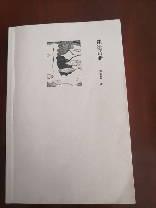 《迷途诗册》，席慕容，全新，10元包邮