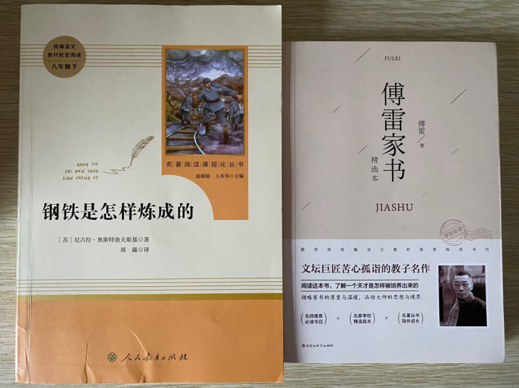傅雷家书+钢铁是怎样炼成的，一口价不讲价。