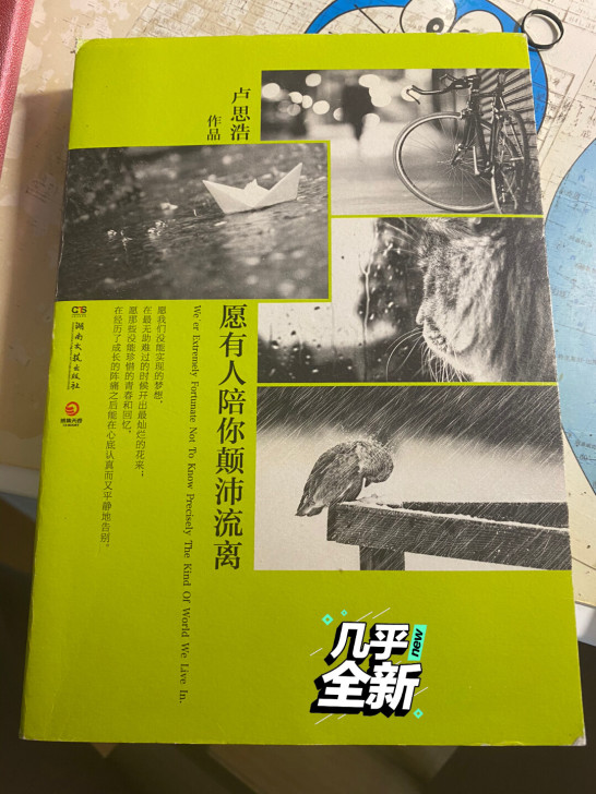 青春文学,愿有人陪你颠沛流离,卢思浩作品。...