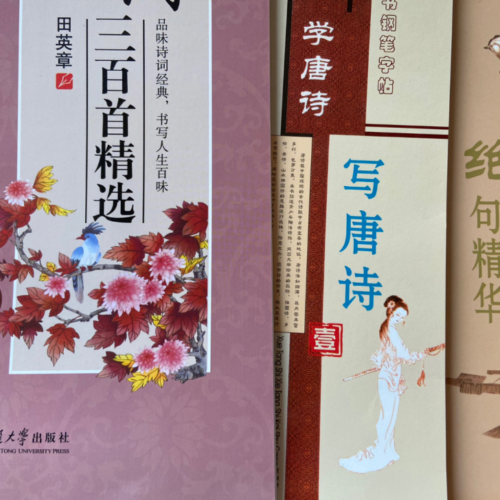 写完的字帖,二手字帖。三百首的正反37面;...