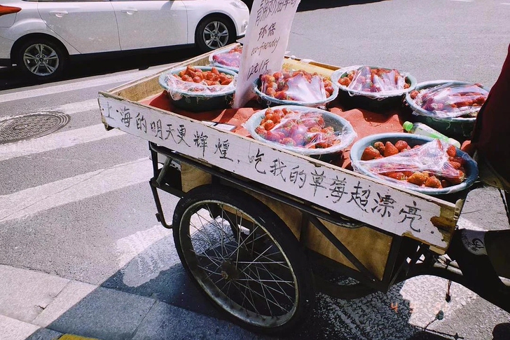 沪考/上海公务员/事业单位面试一对一陪练