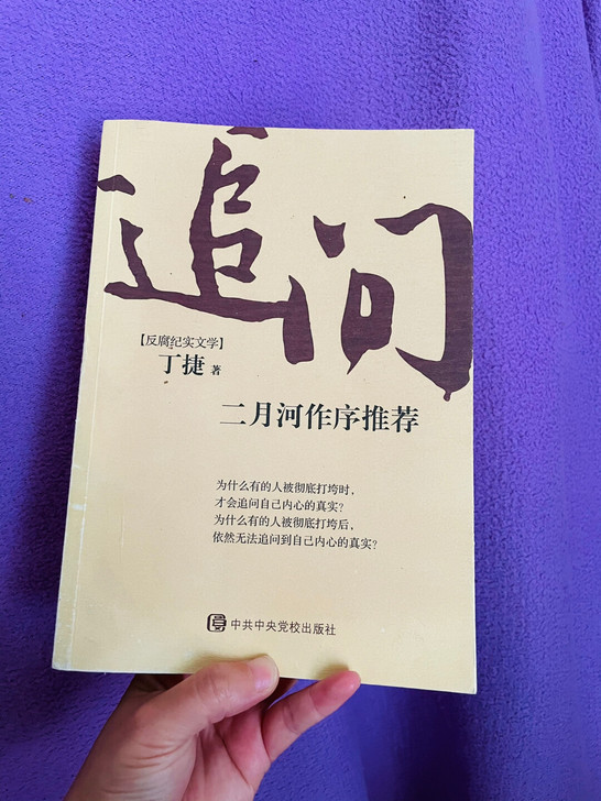 正版书 反腐纪实文学 追问 丁捷 著 ...