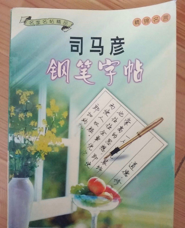 8成新 钢笔字帖，喜欢拍下。售出不退哦！