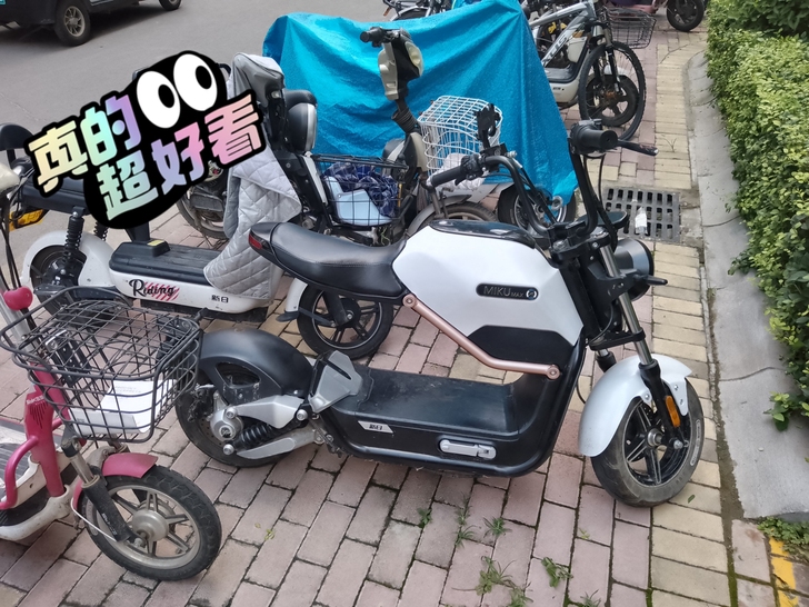新日时尚都市电动车,前后双碟刹,空心宽胎安...