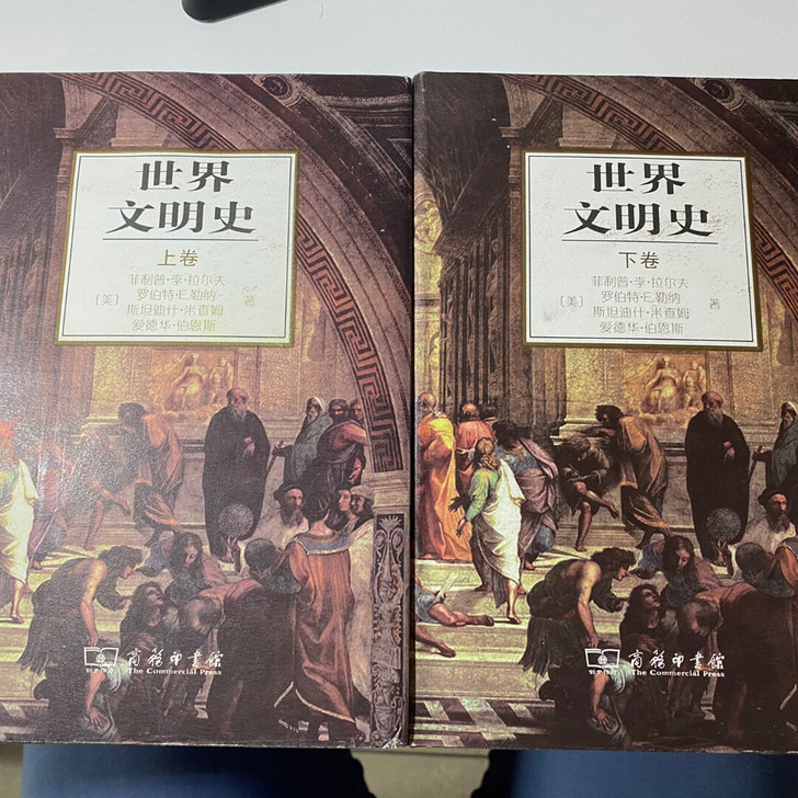世界文明史（上下两册 不单卖）我的高中历史...