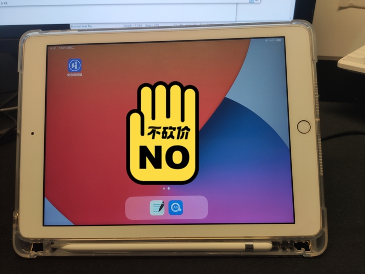 ipad6 2018 32G 金色 带pe...