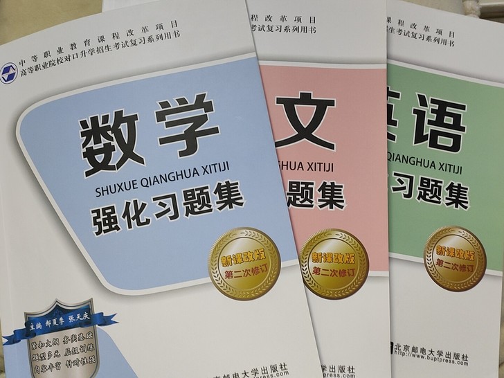 中职生对口升学考试一卷通高考单招复习资料语...