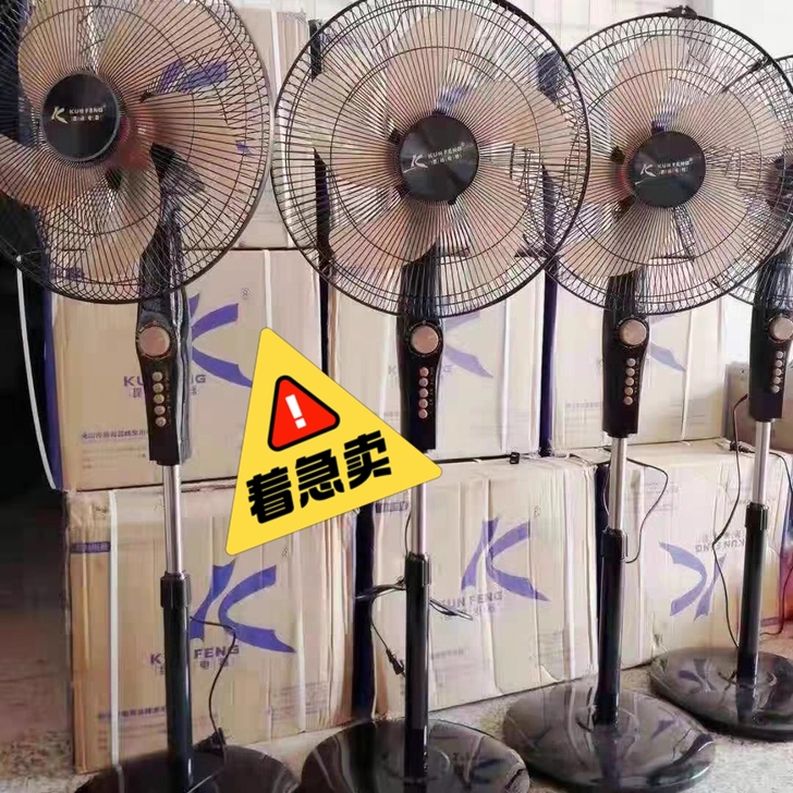 全新未拆封 顺丰包邮！ 16英寸落地扇家用...