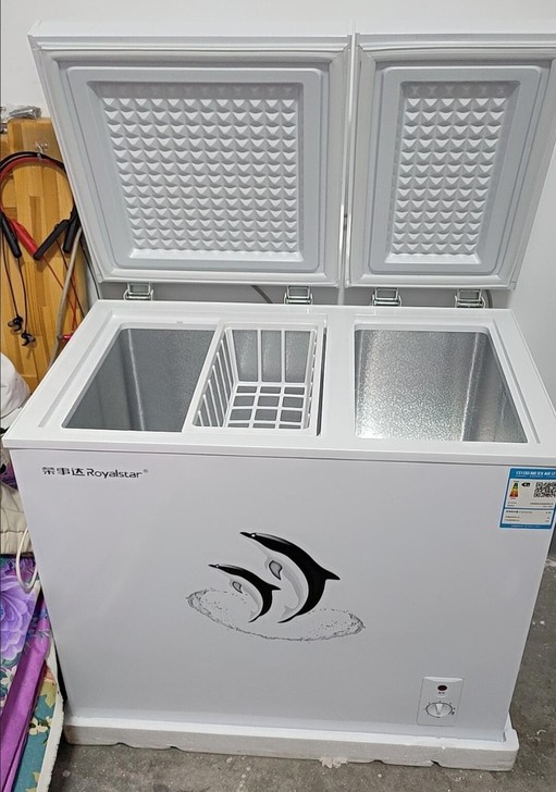 清仓荣事达家用冷柜冷藏冷冻两用商用大容量冷...