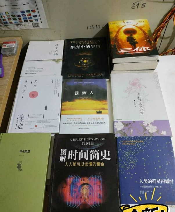 时间简史,皮囊,百年孤独,活着,摆渡人,许...