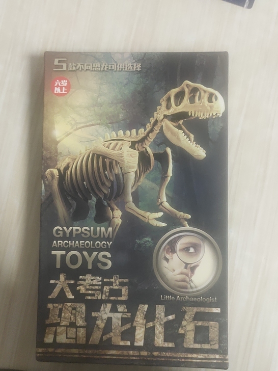 恐龙化石玩具，有三个