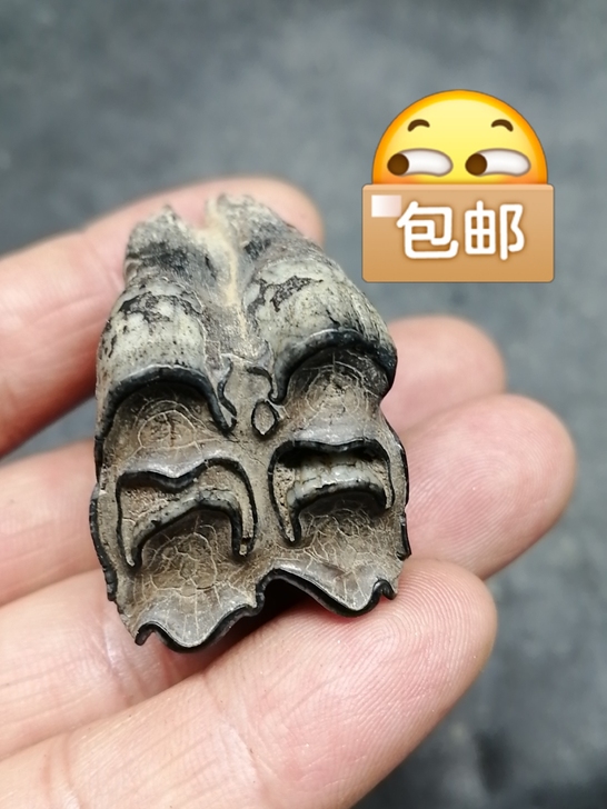 奇石~(老化石牙) 自己捡的,化石,不清...