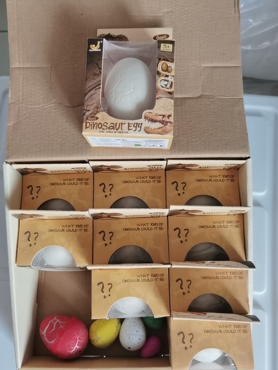 儿童考古化石带工具全新,20元一个,十个1...