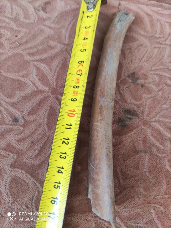 老物件，不是化石，玉化，观赏品，文玩，不包...