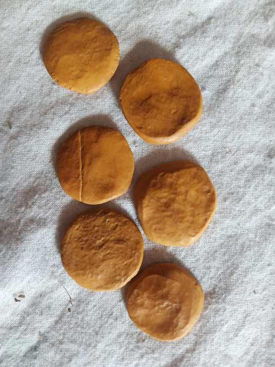 埃及货币虫化石,古生物化石,二手商品售出不...