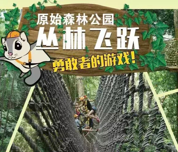 西双版纳原始森林公园丛林飞跃 A段 B...