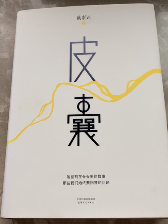 图书《皮囊》,看过一遍,封皮和里面基本全新...