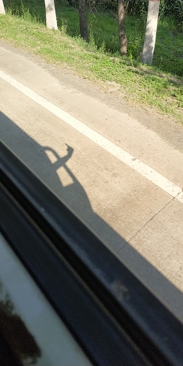 收cf北部有幻神和雷神就行