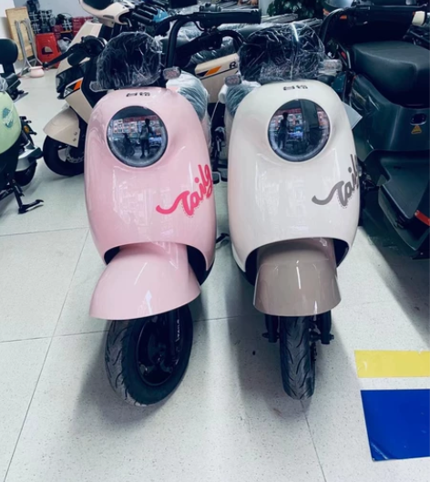 台铃电动自行车，新国标，v1 v6 可梦，...