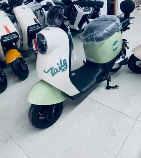 台铃电动自行车，新国标，v1 v6 可梦，...