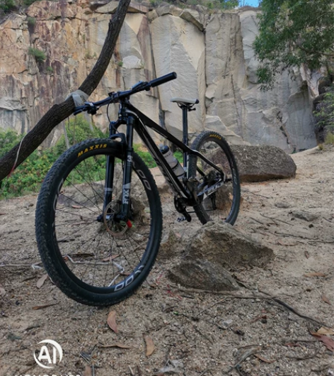 29山地车 FUJI  SLM 2.1 1...