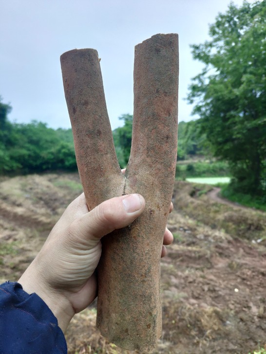 优质木材之油茶树叉弹弓材，38一个，随便挑...