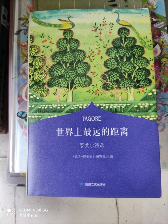 泰戈尔诗选，全新，双凤医院附近，线下交易，...