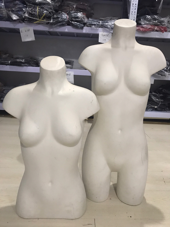 女生半模:高度85公分