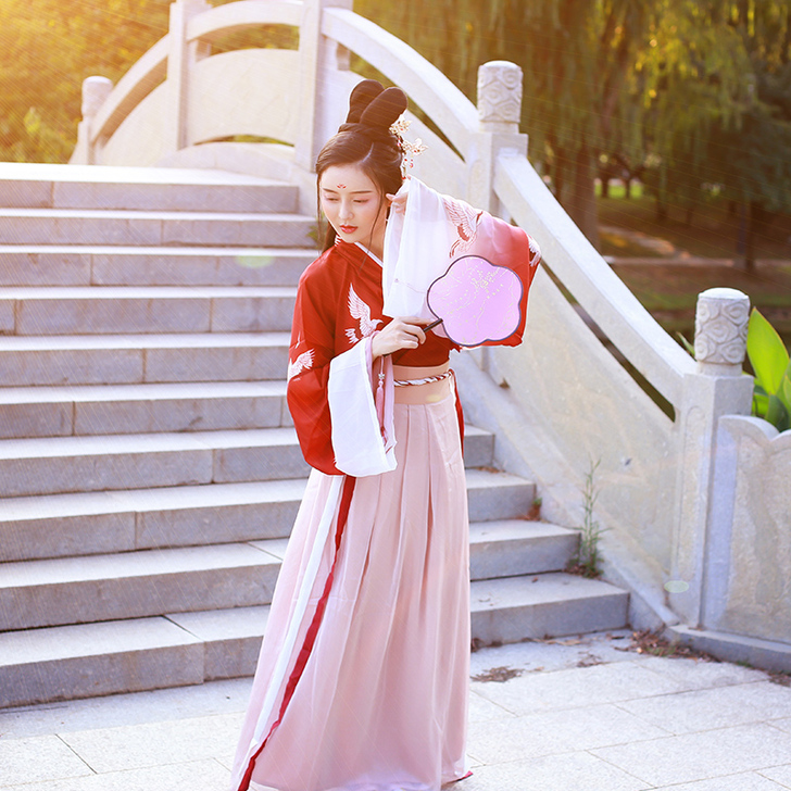 红昭愿古装女汉服大袖衫魏晋风演出服改良古风...