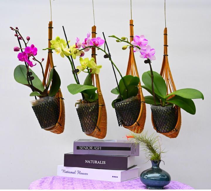 追忆（家居饰品） hX 花篮